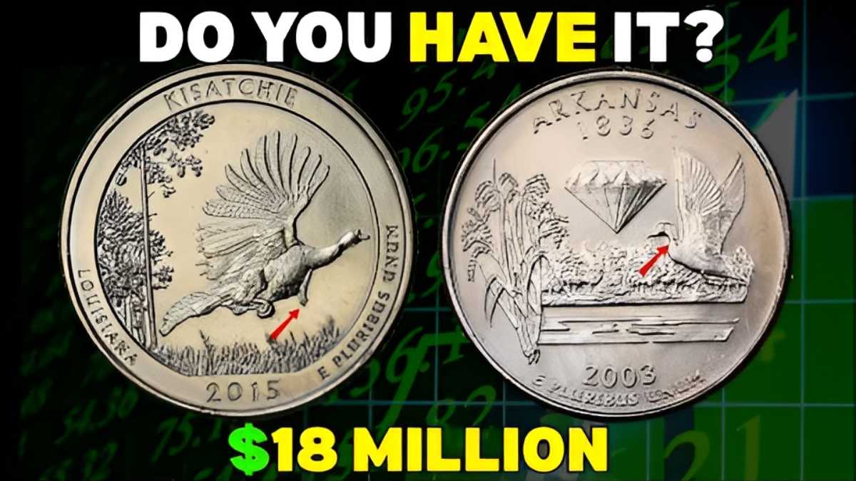 Rare State Quarters Value Guide 2026: Coins Worth Thousands